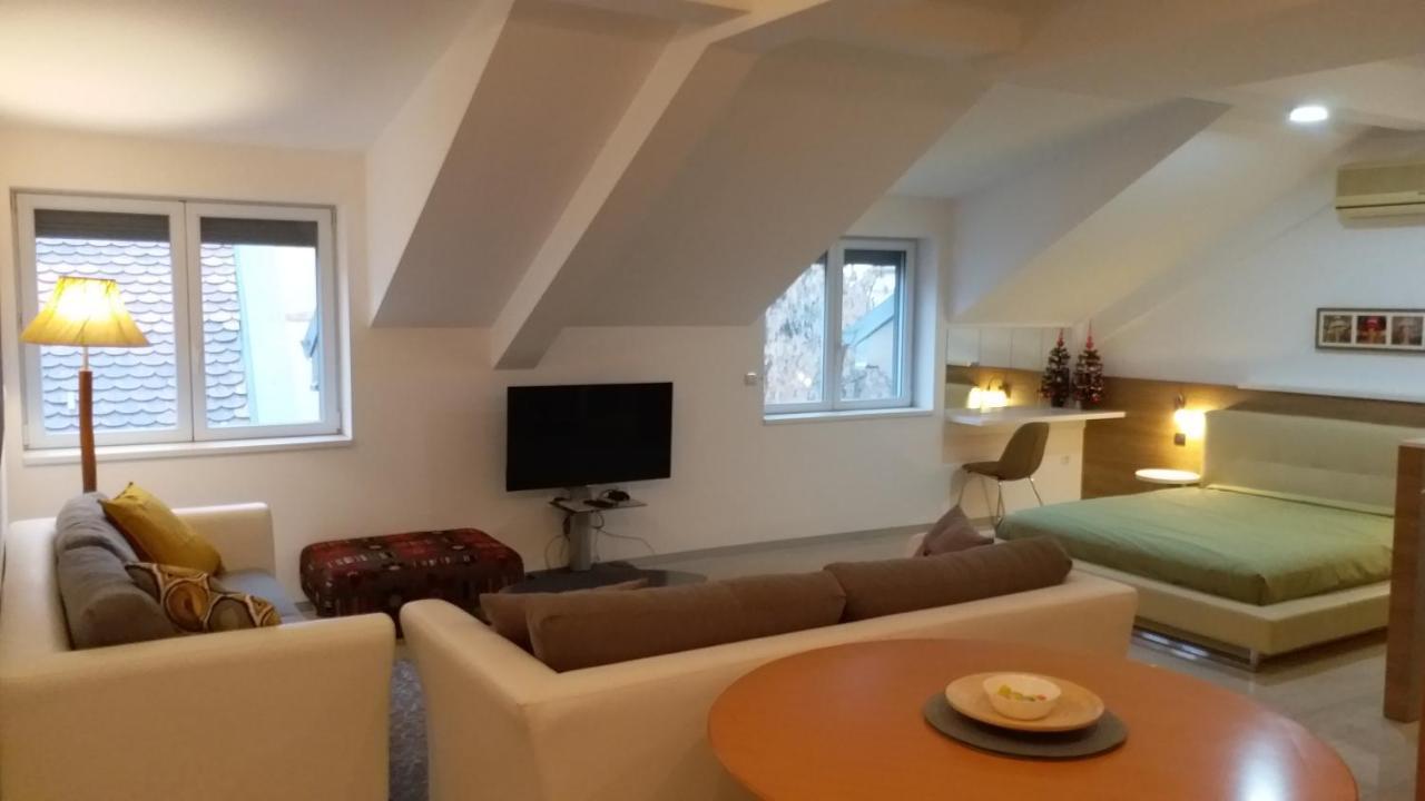 Centar Lux Vrsac Apartment ภายนอก รูปภาพ
